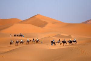 Desert Overnight stay from Marrakech 3days/2nights