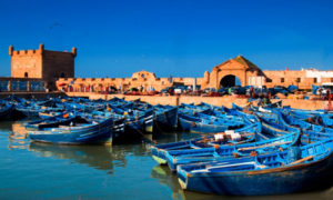Day Trip Marrakech Essaouira
