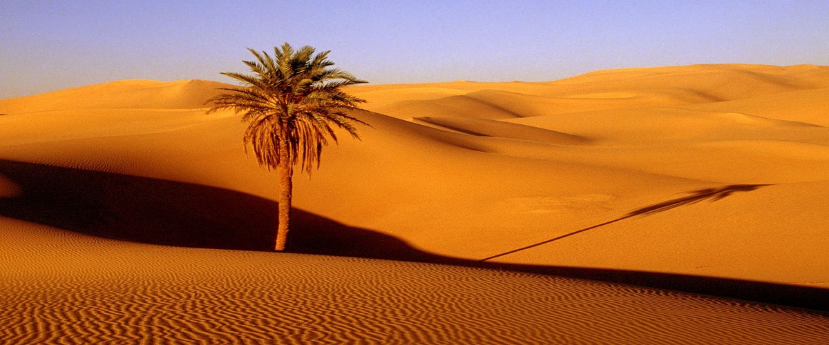 desert merzouga